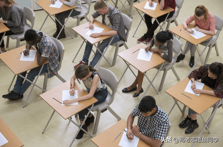 小语种哪个好学（小语种难易程度排行）