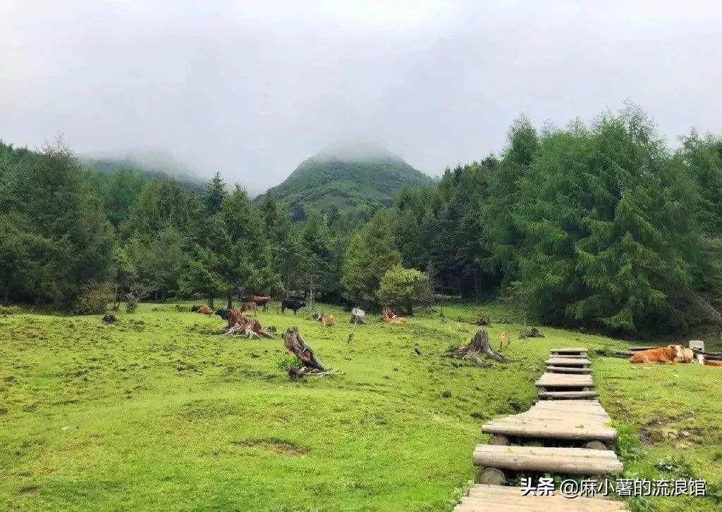 中国雨最多的城市排名（雨天最多的城市排行榜）