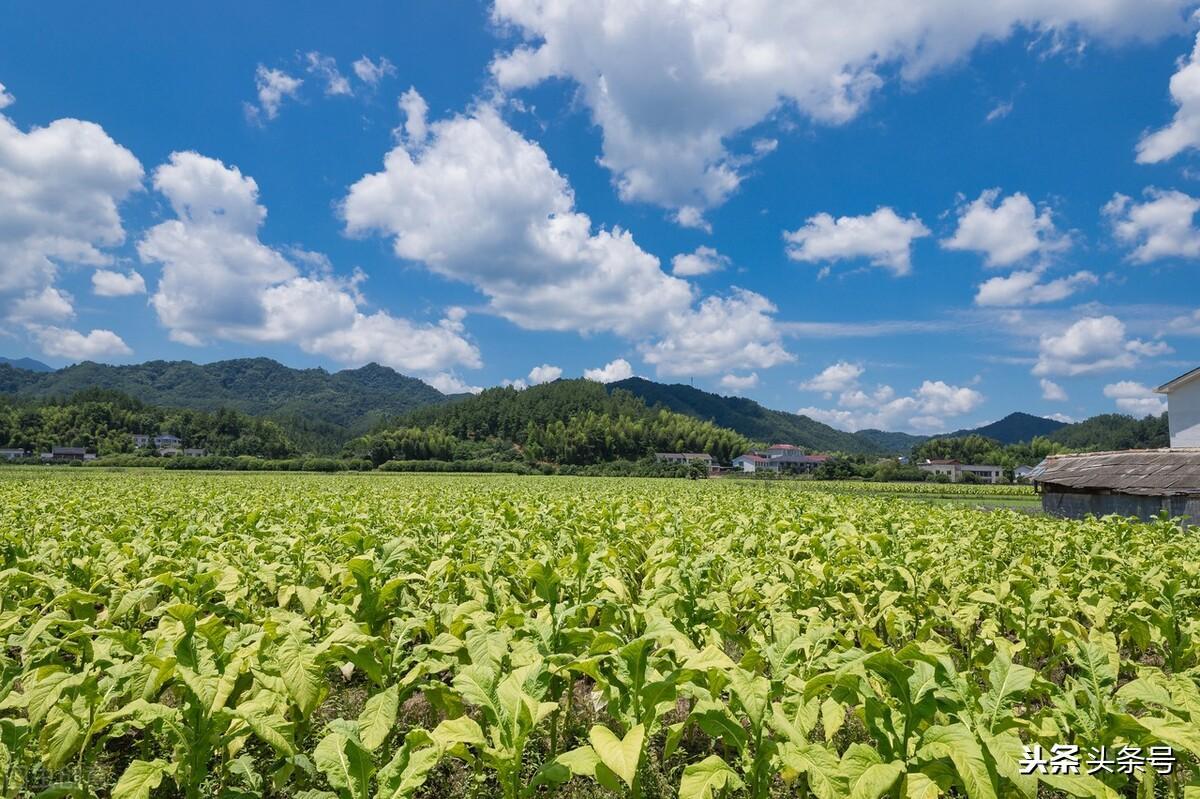 永州哪个县最穷（湖南永州新田县和双牌县）