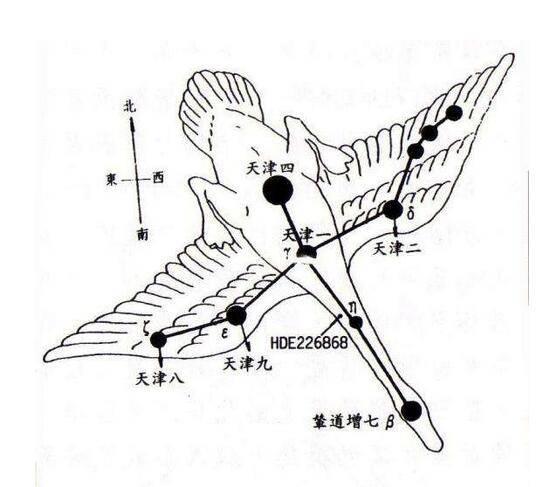 天津四星属于什么星座（为什么叫天津四）