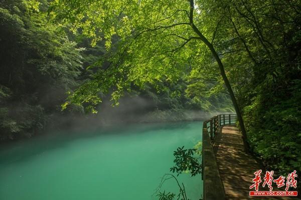 张家界有啥旅游景点（湖南张家界旅游著名景点介绍）