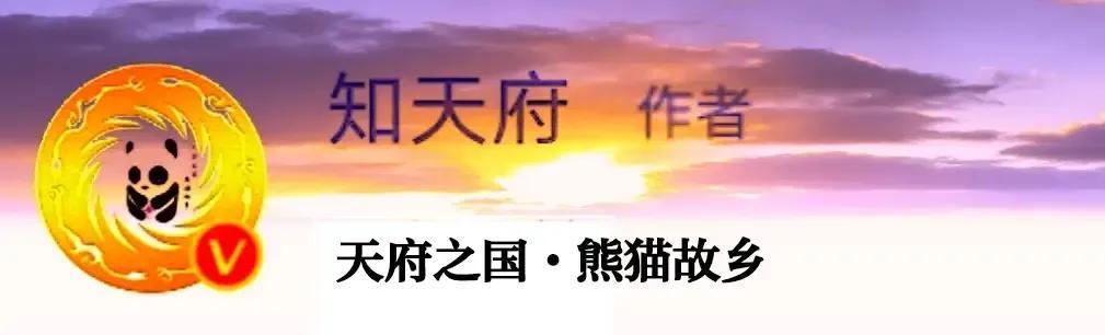 四川省人口2022总人数口是多少亿（四川人口增速几乎为零）