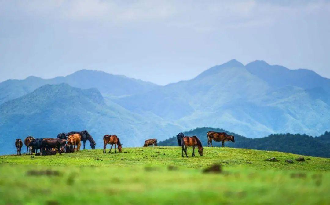 郴州有什么好玩的地方（郴州旅游攻略景点必去）