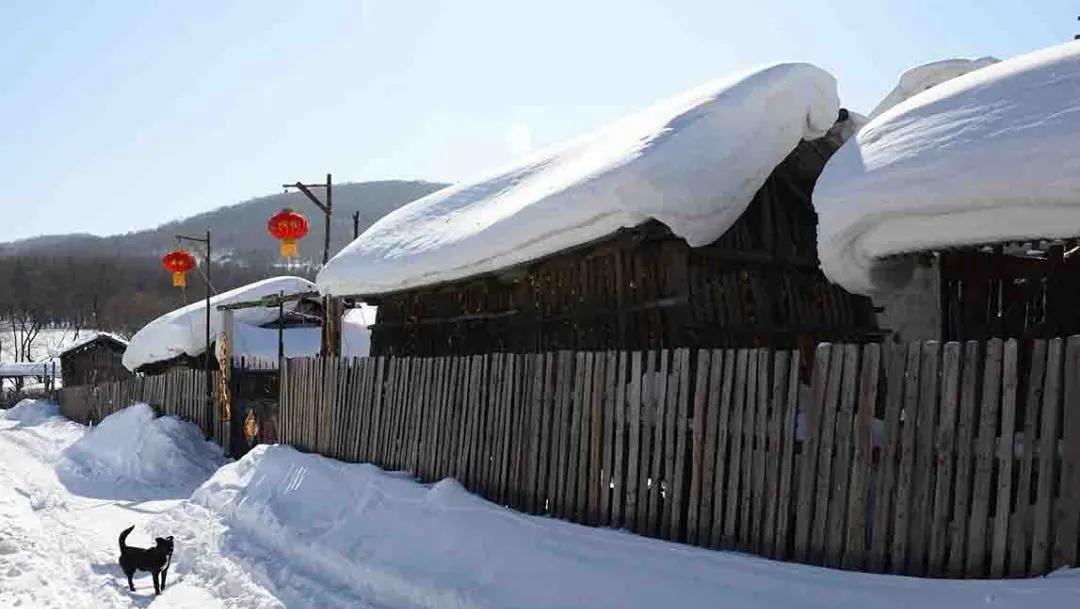 中国雪乡在哪个城市及成因（怎么去雪乡最方便）