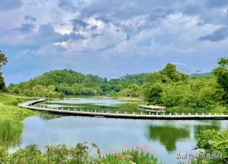 中国夏天最凉快的城市是哪里（中国最适合避暑的城市排名）