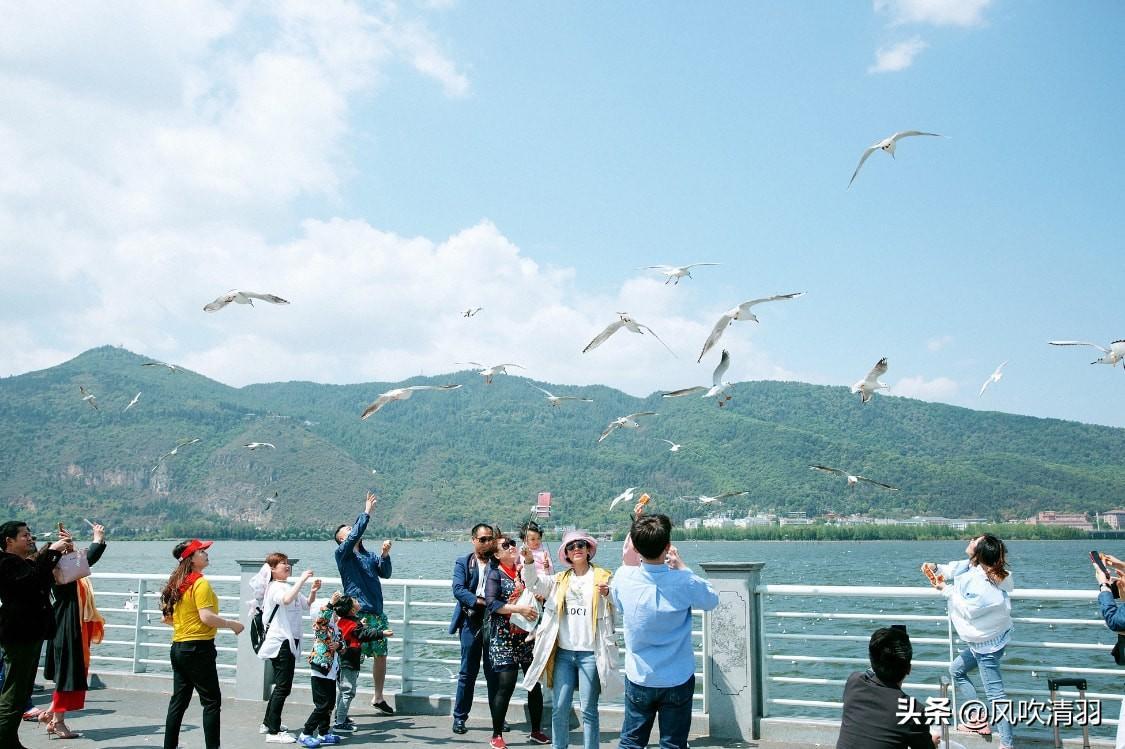 珠海宜居城市排名（广东省最宜居的城市）