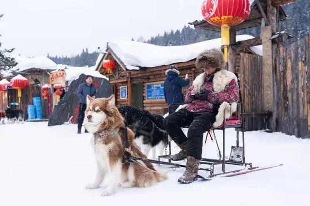 雪乡特产有哪些特产（雪乡特色美食简介）