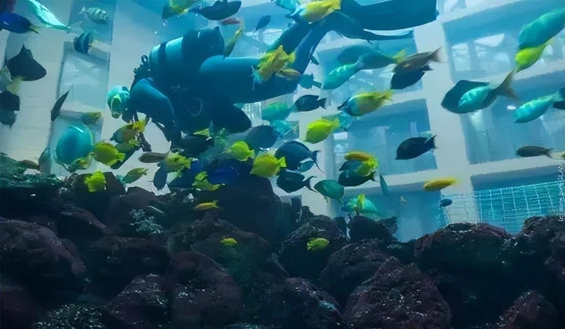 世界最大独立圆柱体水族馆爆裂，制造商介入调查