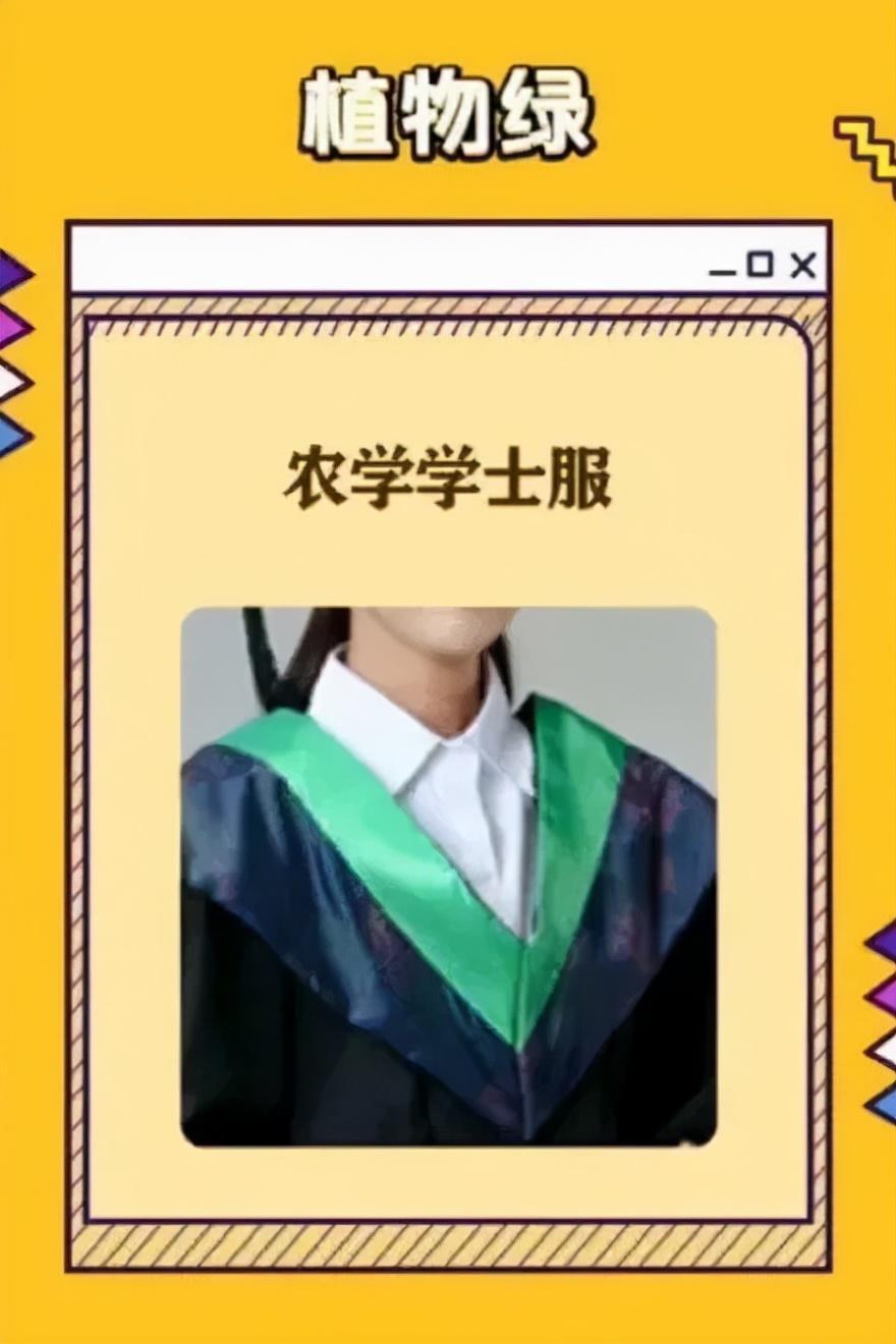 学士服颜色分类（学士服领口的颜色含义）